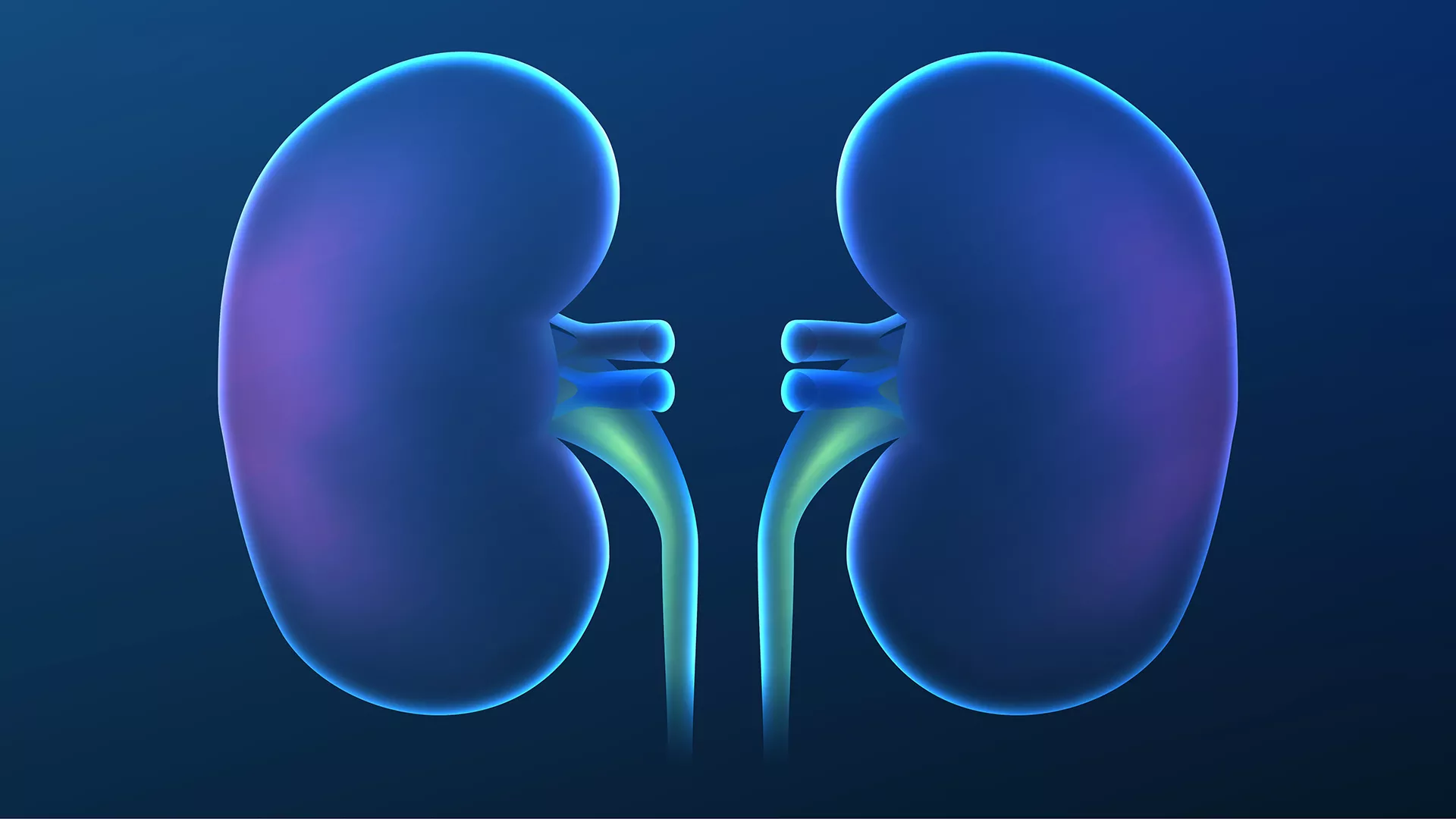 kidney-transplant-unihealth-turkey